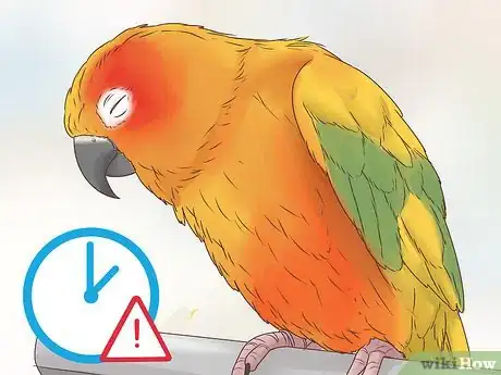 Imagen titulada Spot Signs of Disease in Conures Step 9