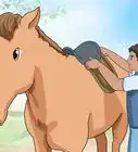 andar a caballo