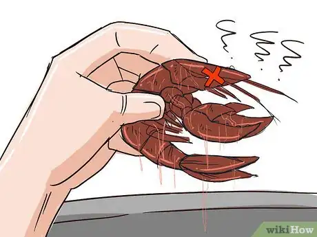 Imagen titulada Purge Crawfish Step 14