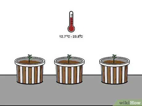 Imagen titulada Grow Hydroponic Lettuce Step 12