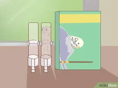 Imagen titulada Tell the Sex of Parrots Step 12