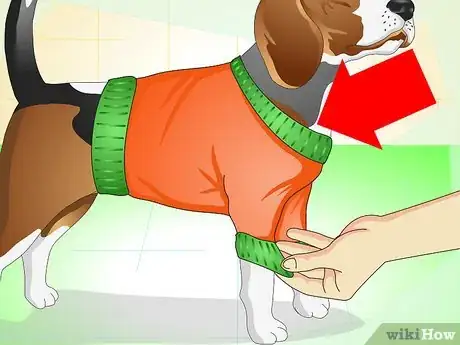 Imagen titulada Care for a Dog With Stitches Step 6