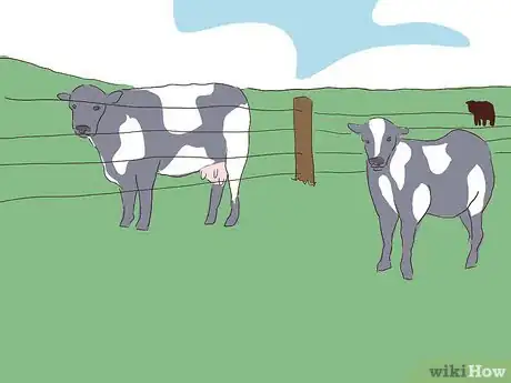 Imagen titulada Wean Cattle Step 14