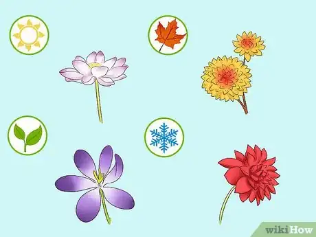 Imagen titulada Buy Flowers Wholesale Step 6