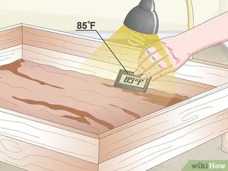 Imagen titulada Create an Indoor Box Turtle Habitat Step 9