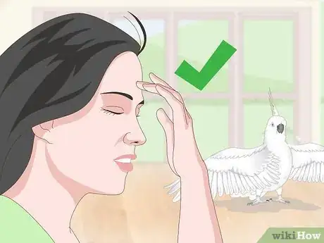 Imagen titulada Deal with an Aggressive Cockatoo Step 9