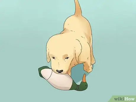 Imagen titulada Train Your Dog to Hunt Step 11