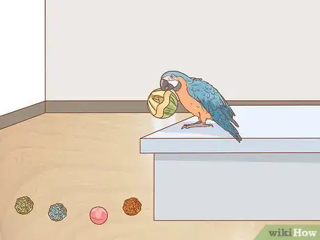 Imagen titulada Know if a Macaw Is Right for You Step 10