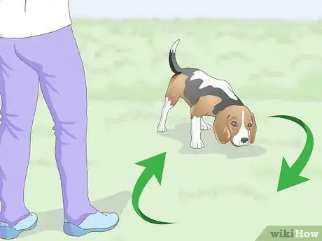 Imagen titulada Train Your Beagle Step 5