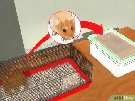 Imagen titulada Get Rid of Mites in Your Hamster's Cage Step 3