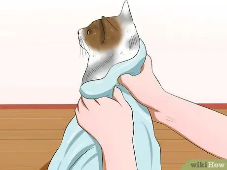 Imagen titulada Bathe Your Cat With a Damp Towel Step 14