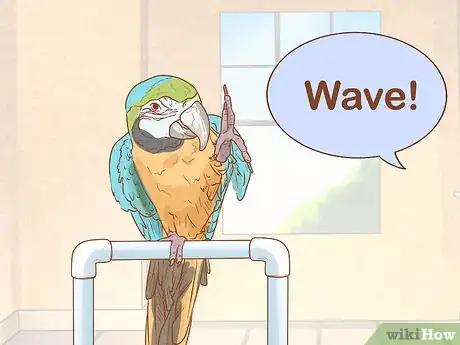 Imagen titulada Know if a Macaw Is Right for You Step 11