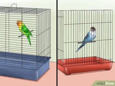 Imagen titulada Teach Your Budgie to Talk Step 3