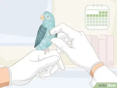 Imagen titulada Care for a Sick Pet Bird at Home Step 11