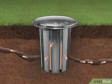 Imagen titulada Get Rid of Subterranean Termites Step 9