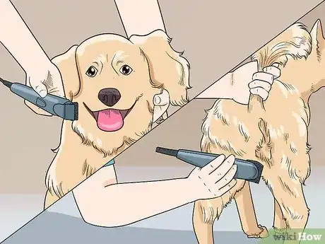 Imagen titulada Shave Your Dog Step 10