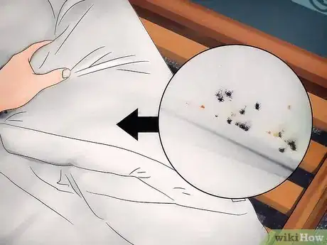 Imagen titulada Identify a Bed Bug Infestation Step 2