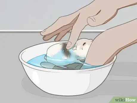 Imagen titulada Give Your Hamster a Bath Step 12