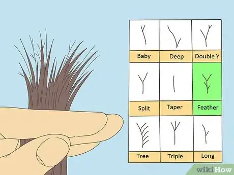 Imagen titulada Detect Split Ends Step 6