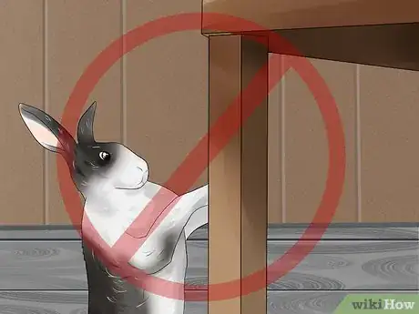 Imagen titulada Teach a Rabbit Not to Scratch Step 10