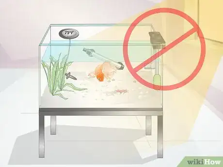 Imagen titulada Care for a Fantail Goldfish Step 12