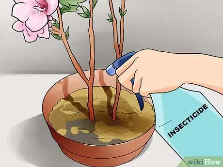 Imagen titulada Propagate Rose of Sharon Cuttings Step 15