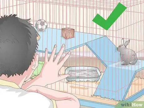 Imagen titulada Prepare a Rabbit Cage Step 18