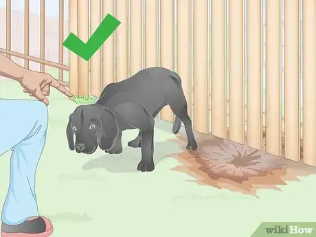 Imagen titulada Stop a Dog from Digging Under the Fence Step 4