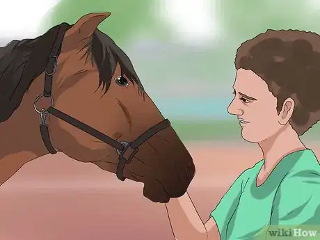 Imagen titulada Put the Bit in a Horse's Mouth Step 11