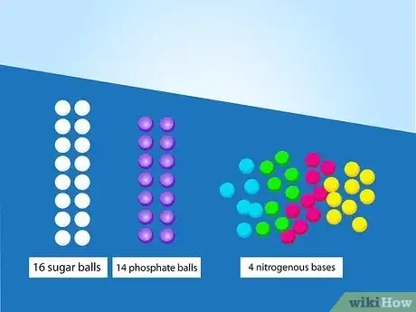 Imagen titulada Make a Model of DNA Using Common Materials Step 16