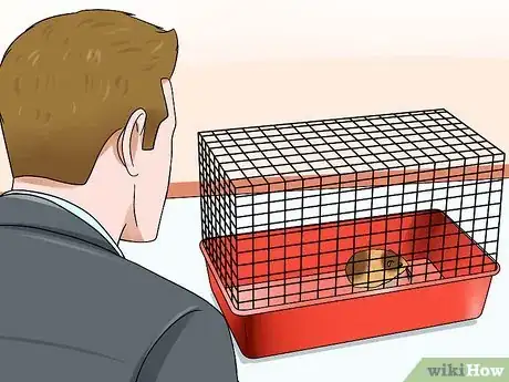 Imagen titulada Handle a Hamster Without Being Bitten Step 6