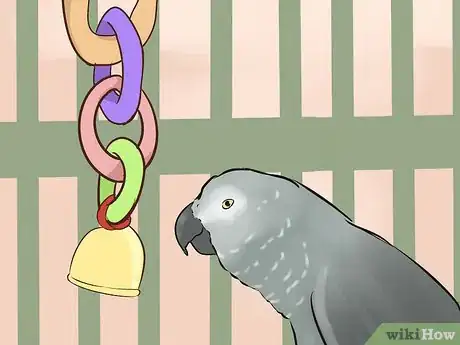 Imagen titulada Socialize an African Grey Parrot Step 5