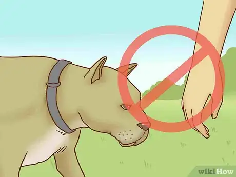 Imagen titulada Get Your Dog to Stop Play Biting Step 11