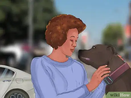 Imagen titulada Keep a Dog from Lunging at Cars and People Step 1