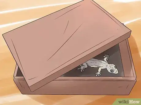 Imagen titulada Get Rid of Common House Geckos Step 8