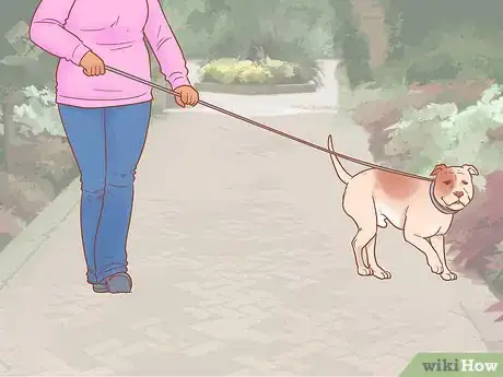 Imagen titulada Stop a Dog from Chasing Step 1