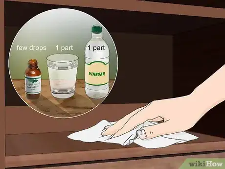 Imagen titulada Get Rid of Pantry Moths Step 7