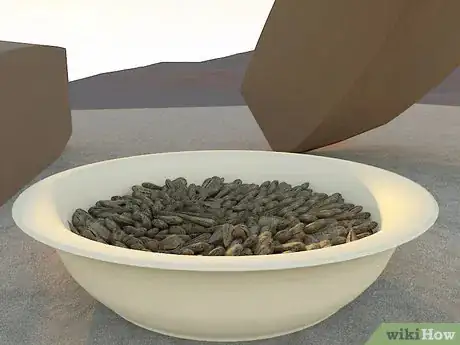 Imagen titulada Harvest Sunflower Seeds Step 11