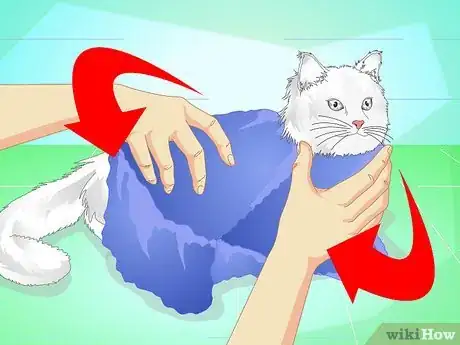 Imagen titulada Make a Cat Throw Up Step 5