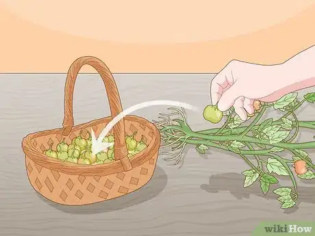 Imagen titulada Ripen Green Tomatoes Step 5