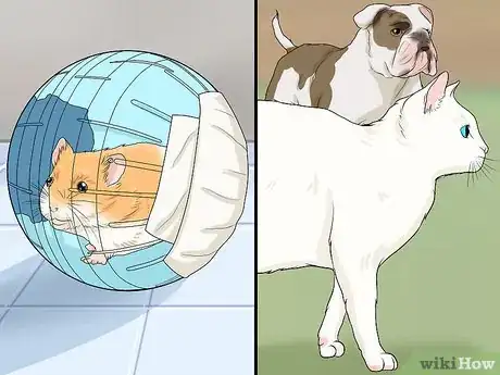 Imagen titulada Let Your Hamster Run in a Hamster Ball Step 6