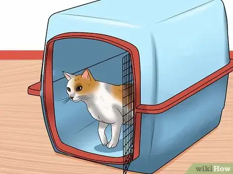 Imagen titulada Prepare a Cat for Air Travel Step 3