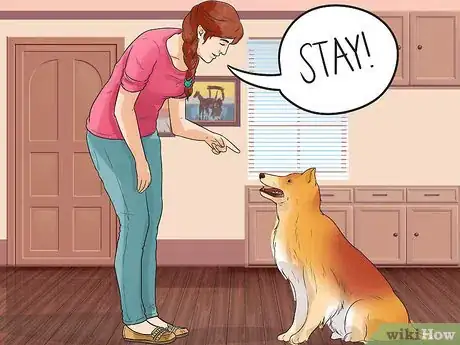 Imagen titulada Train Shelties Step 12