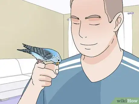 Imagen titulada Stop a Parakeet from Biting Step 6