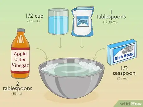 Imagen titulada Use Home Remedies to Get Rid of Gnats Step 1