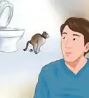 educar a un gato a usar el baño