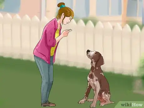 Imagen titulada Teach Your Dog to Focus Step 5