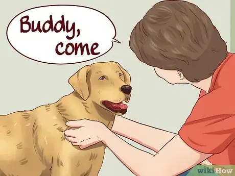 Imagen titulada Teach Your Dog Basic Commands Step 14