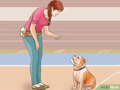 Imagen titulada Teach Your Dog to Focus Step 7