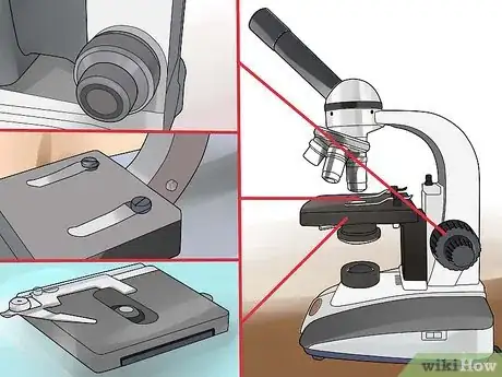 Imagen titulada Use a Compound Microscope Step 5